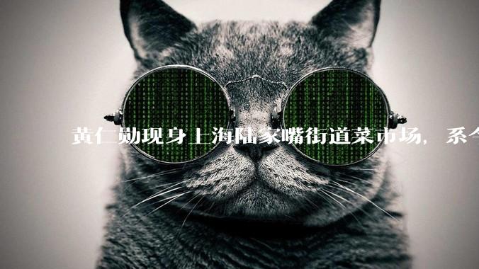 黄仁勋现身上海陆家嘴街道菜市场，系今年首度来华_美国_芯片_毛宁