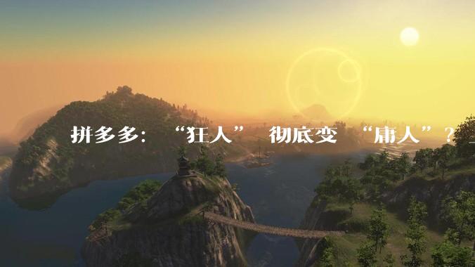 拼多多：“狂人” 彻底变 “庸人”？_Temu_预期_影响