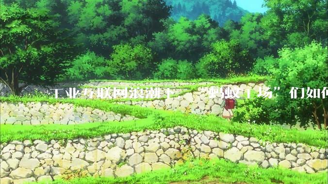 工业互联网浪潮下，“蚂蚁工场”们如何“创新性”进化？ - *