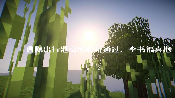 曹操出行港交所聆讯通过，李书福喜抱“第十子” - *