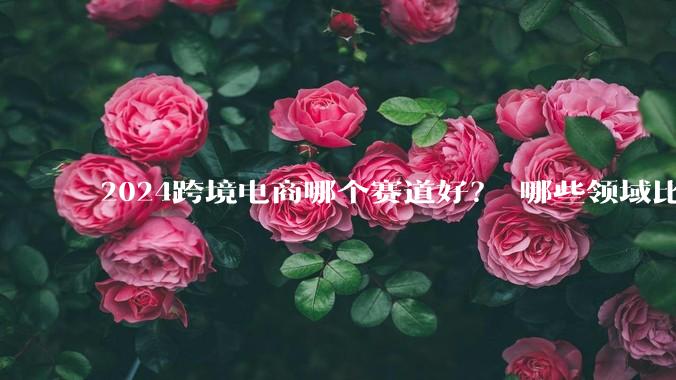 2024跨境电商哪个赛道好？ 哪些领域比较火 - *