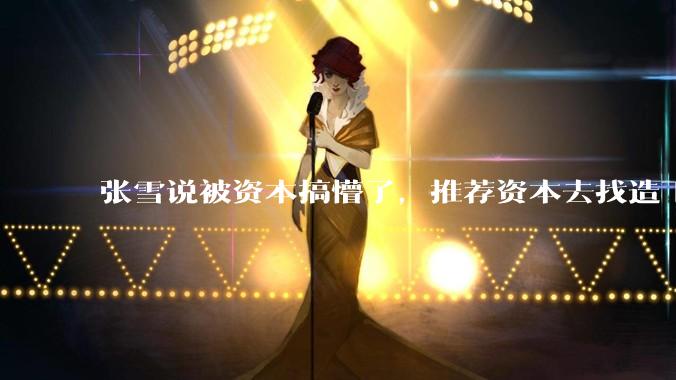 张雪说被资本搞懵了，推荐资本去找造飞机的师父，背后是一场流量与资本的疯狂狂欢！ - *