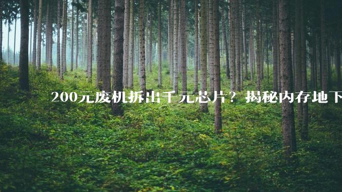 200元废机拆出千元芯片？揭秘内存地下利益链_回收_手机_李一东