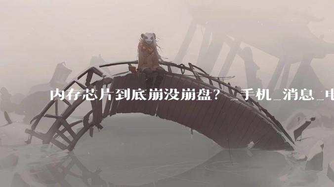内存芯片到底崩没崩盘？_手机_消息_电脑