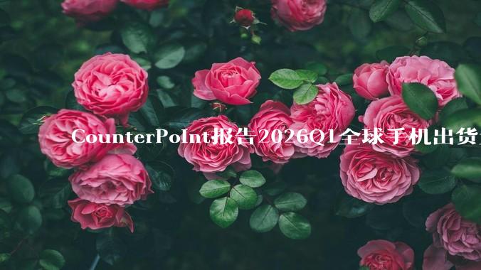 CounterPoint报告2026Q1全球手机出货量：苹果同比增5%_市场_系列_小米