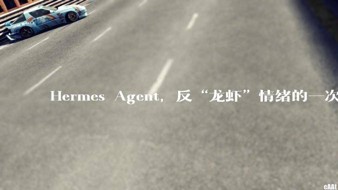 Hermes Agent，反“龙虾”情绪的一次烟花_OpenClaw_Skill_任务