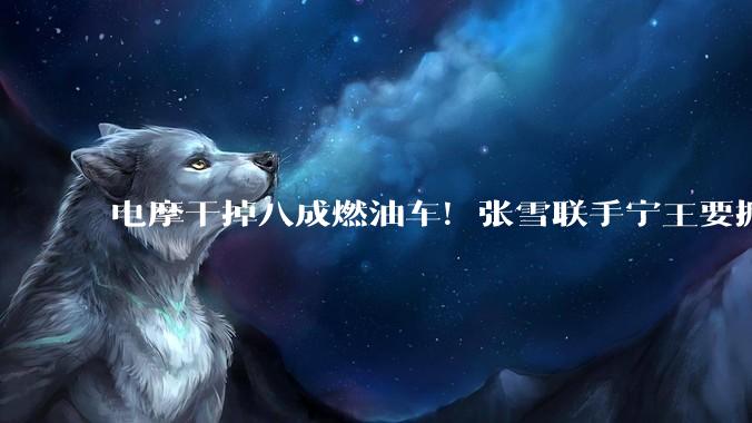 电摩干掉八成燃油车！张雪联手宁王要掀桌子了？_电池_续航_摩托车