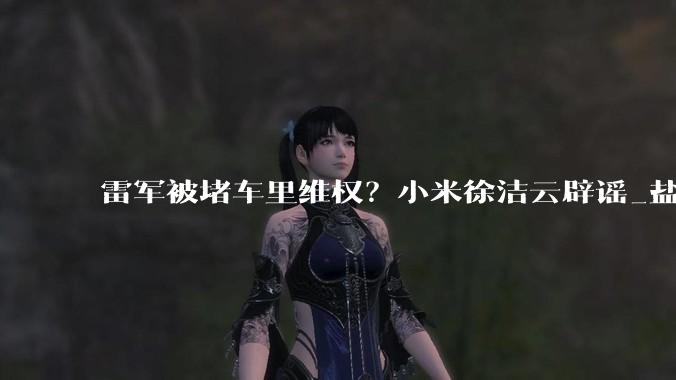 雷军被堵车里维权？小米徐洁云辟谣_盐城_江苏_雷总