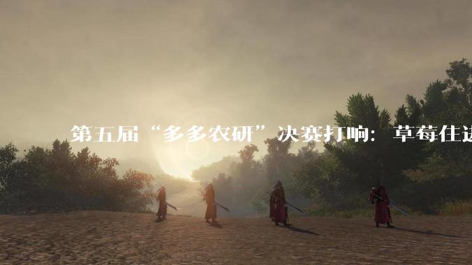 第五届“多多农研”决赛打响：草莓住进“工厂”，农人和算法对话_种植_团队_植物