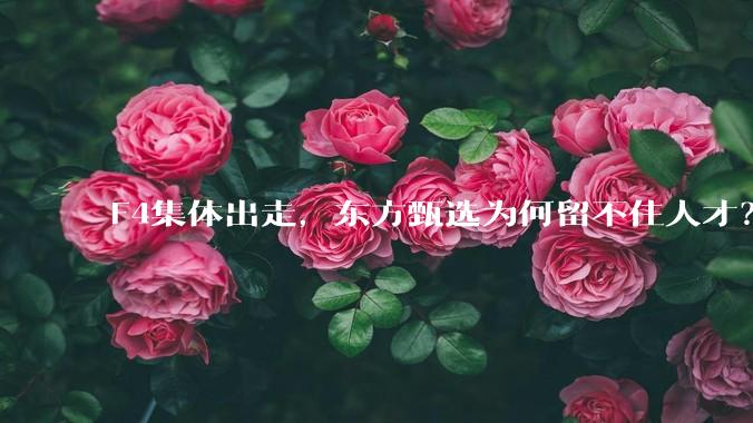 F4集体出走，东方甄选为何留不住人才？_董宇辉_核心_孙进