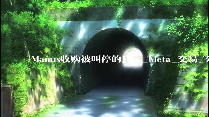 Manus收购被叫停的启示_Meta_交易_公司