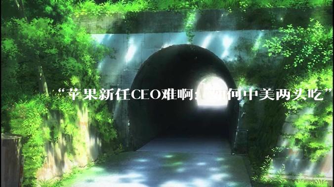 “苹果新任CEO难啊：如何中美两头吃”_iPhone_中国_制造