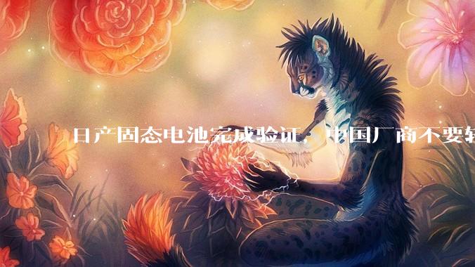 日产固态电池完成验证，中国厂商不要轻视，要有紧迫感与危机感_充放电_电解质_研发成功