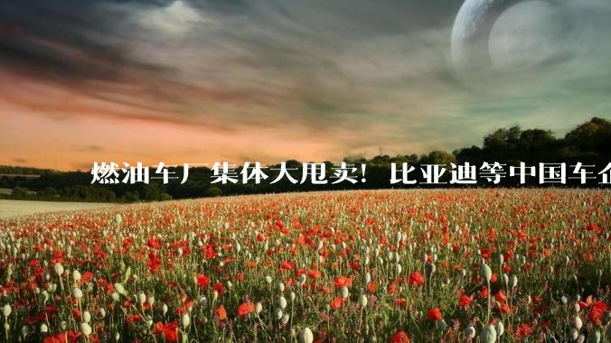 燃油车厂集体大甩卖！比亚迪等中国车企买爆全球旧产能_福特_收购_生产
