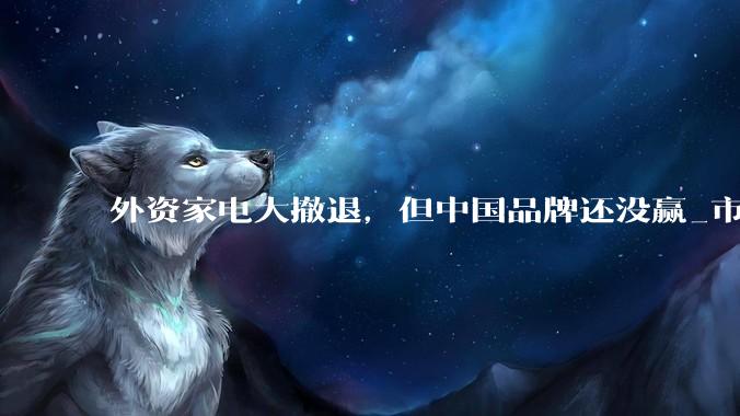 外资家电大撤退，但中国品牌还没赢_市场_控股_电视