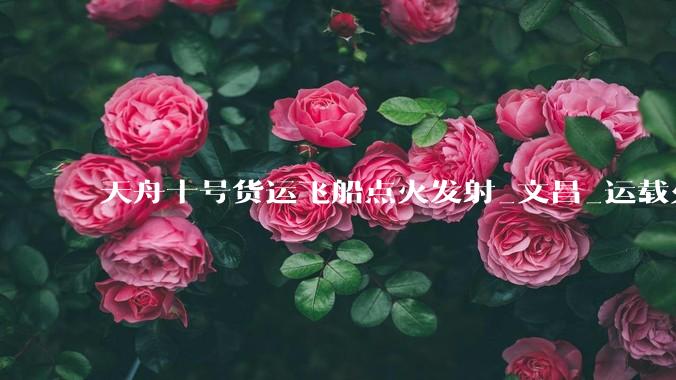 天舟十号货运飞船点火发射_文昌_运载火箭_长征