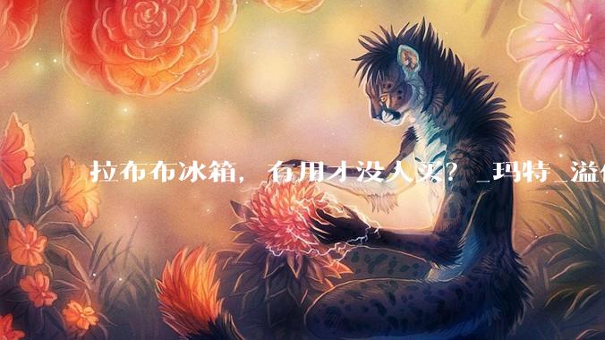 拉布布冰箱，有用才没人买？_玛特_溢价_泡泡