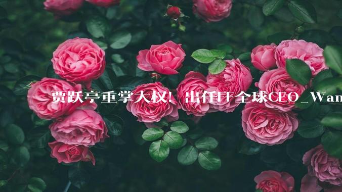 贾跃亭重掌大权！出任FF全球CEO_Wang_Jerry_战略