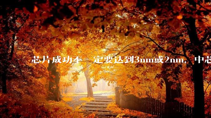 芯片成功不一定要达到3nm或2nm，中芯国际张汝京的话，很多人没懂_细分_领域_设备