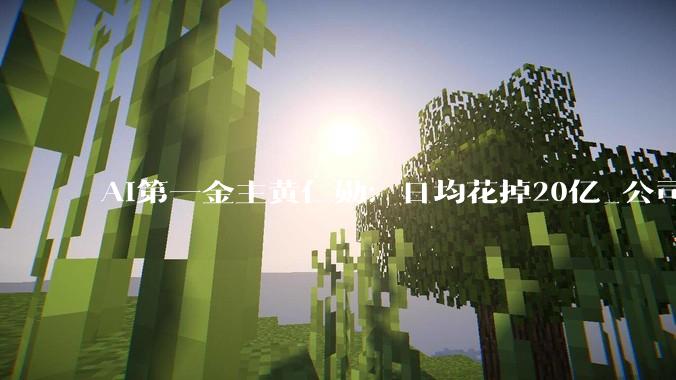 AI第一金主黄仁勋：日均花掉20亿_公司_投融资_包括