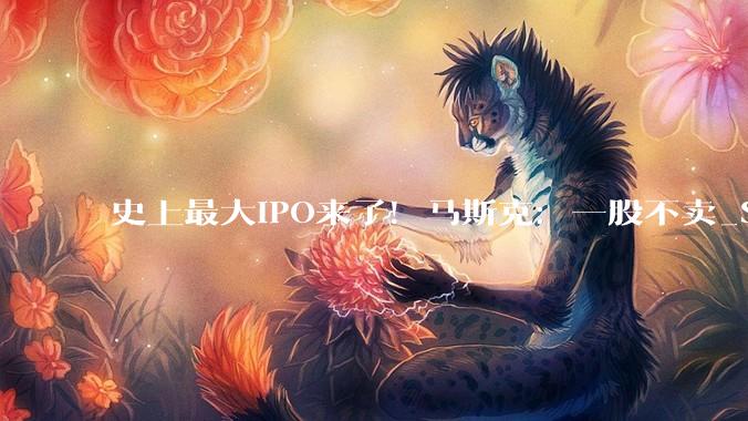 史上最大IPO来了！马斯克：一股不卖_SpaceX_公司_上市
