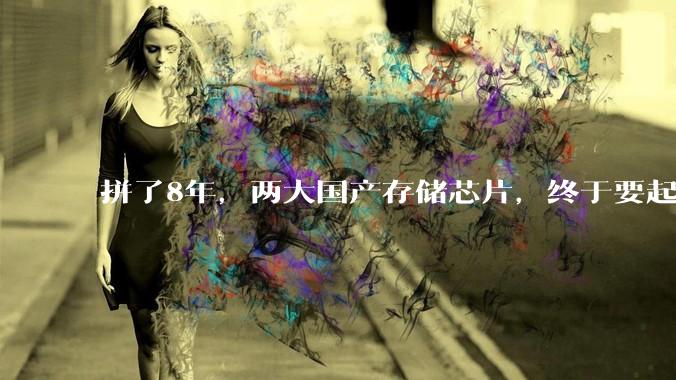 拼了8年，两大国产存储芯片，终于要起飞了_进口_内存_全球