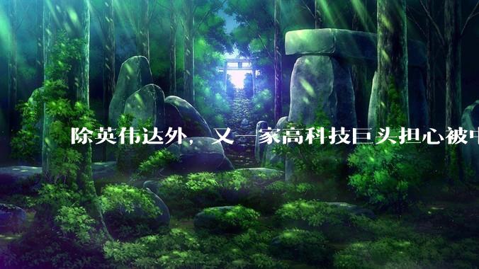 除英伟达外，又一家高科技巨头担心被中企超过，担心失去中国市场_限制_企业_言论