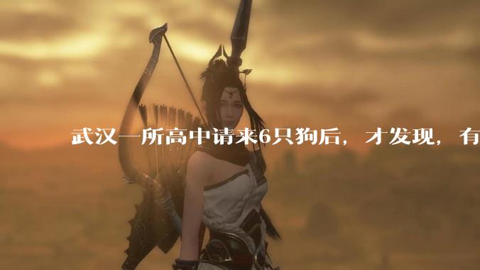武汉一所高中请来6只狗后，才发现，有些孩子已很久没被温柔对待了_时候_什么_金毛