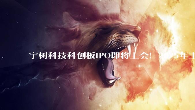 宇树科技科创板IPO即将上会！2025年主营业务毛利率达60.13% 硬科技溢价凸显 - *