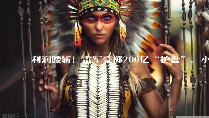 利润腰斩！雷军豪掷200亿“护盘”，小米一季度怎么了？_业务_汽车_同比