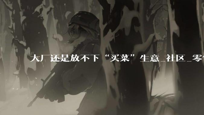 大厂还是放不下“买菜”生意_社区_零售_阿里