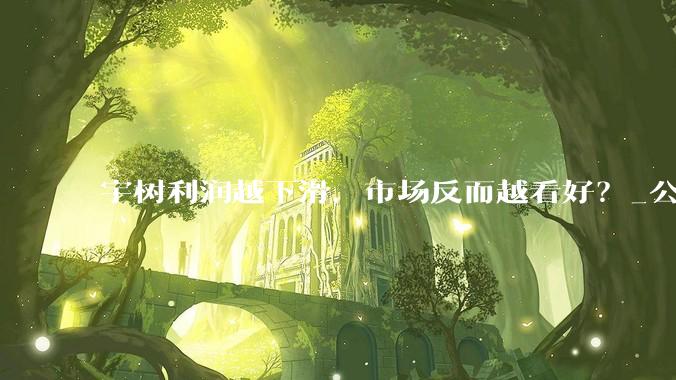 宇树利润越下滑，市场反而越看好？_公司_费用_春晚