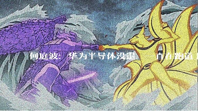 何庭波：华为半导体没退，一直在跑道上_专访_赛道_方向