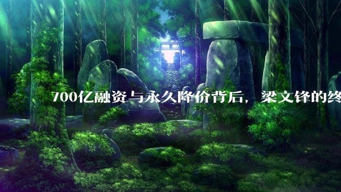 700亿融资与永久降价背后，梁文锋的终极野心_DeepSeek_模型_算法