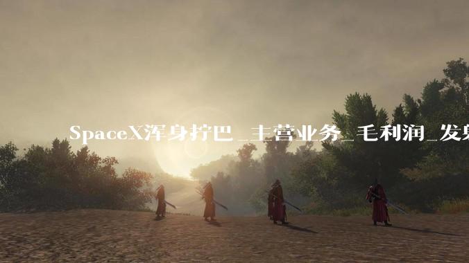 SpaceX浑身拧巴_主营业务_毛利润_发射