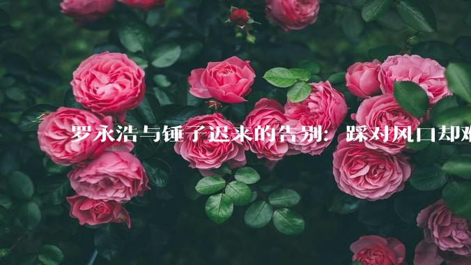 罗永浩与锤子迟来的告别：踩对风口却难成闭环，一个“追风者”的创业漂流_科技_产品_软件
