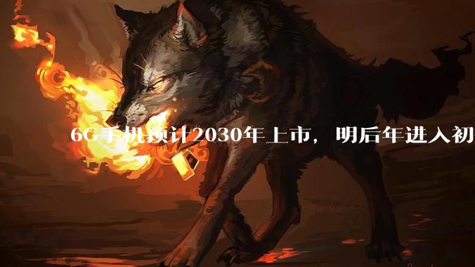 6G手机预计2030年上市，明后年进入初代样机研发_终端_沈嘉_标准