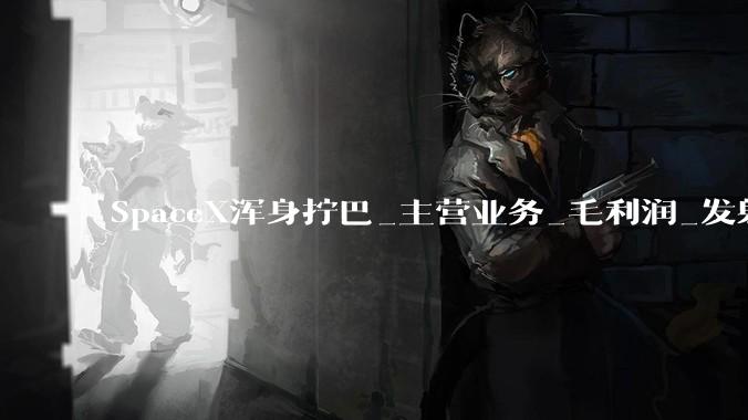 SpaceX浑身拧巴_主营业务_毛利润_发射