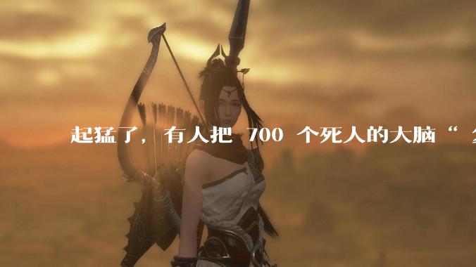起猛了，有人把 700 个死人的大脑“ 复活 ”了。。。_实验_Bexorg_灌注