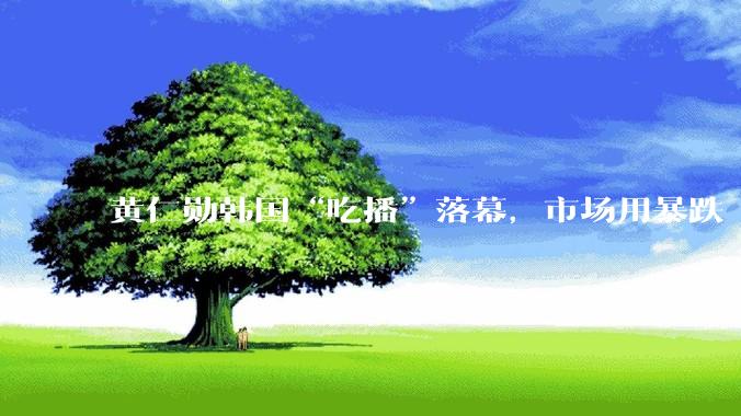 黄仁勋韩国“吃播”落幕，市场用暴跌“打赏”_指数_科技_N***er