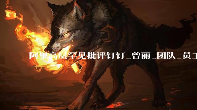 阿里高层罕见批评钉钉_曾丽_团队_员工