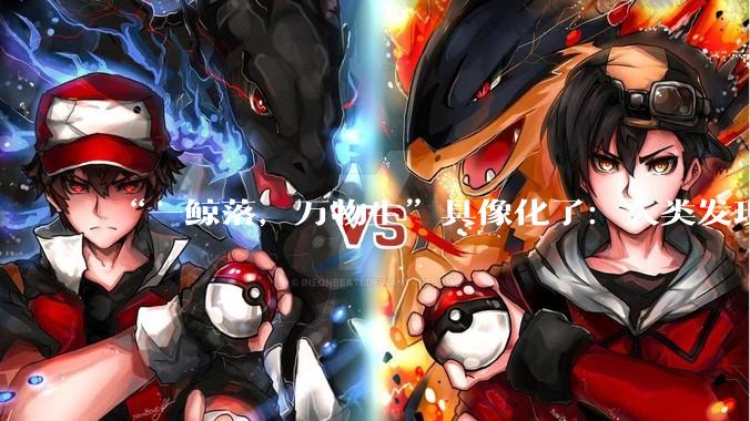“一鲸落，万物生”具像化了：人类发现迄今最大最深“鲸鱼墓地”，以及许多新物种_化石群_遗骸_迪亚曼蒂纳