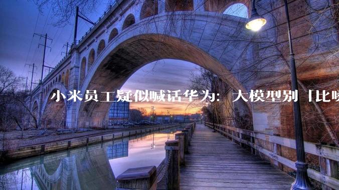 小米员工疑似喊话华为：大模型别「比嗓门」_DeepSeek_国产_行业