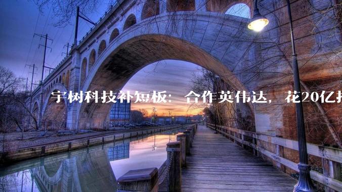 宇树科技补短板：合作英伟达，花20亿搞研发_机器人_大脑_人形