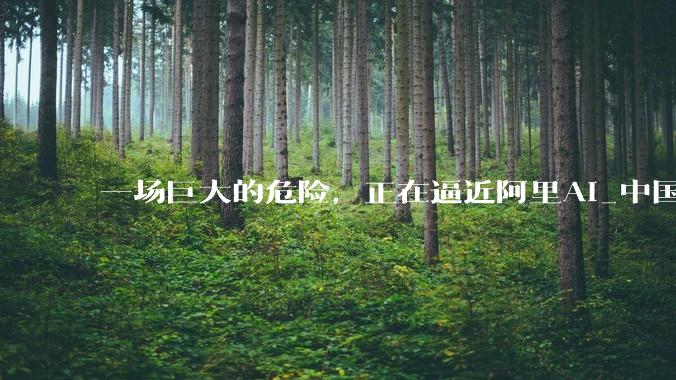 一场巨大的危险，正在逼近阿里AI_中国科技公司_模型_编程