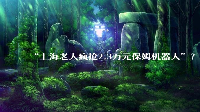 “上海老人疯抢2.3万元保姆机器人”？哪些智能硬件值得“银发族”尝试_产品_***_人形