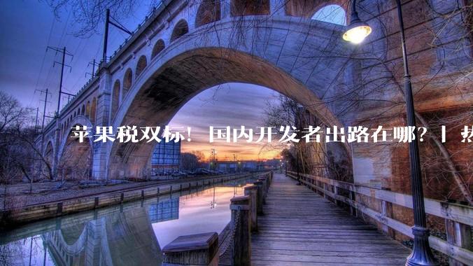 苹果税双标！国内开发者出路在哪？| 热财经_中国_巴西_Store