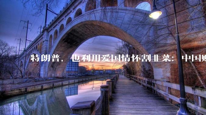特朗普，也利用爱国情怀割韭菜：中国贴牌手机，称是美国制造_本土_刚官宣_配置