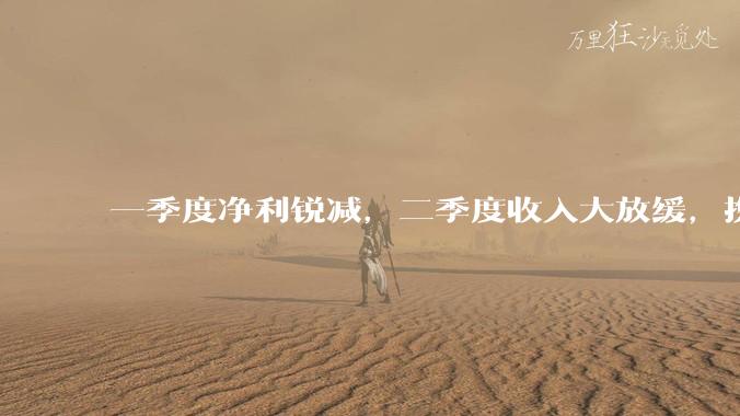一季度净利锐减，二季度收入大放缓，携程暴跌等“靴子”落地_增幅_一个百分点_旅游