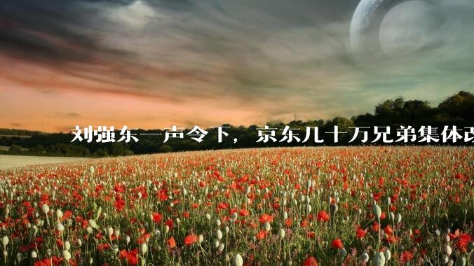 刘强东一声令下，京东几十万兄弟集体改行_机器人_维修中心_欧洲